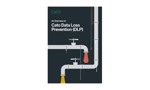 Un aperçu de la prévention de la perte de données Cato (DLP)